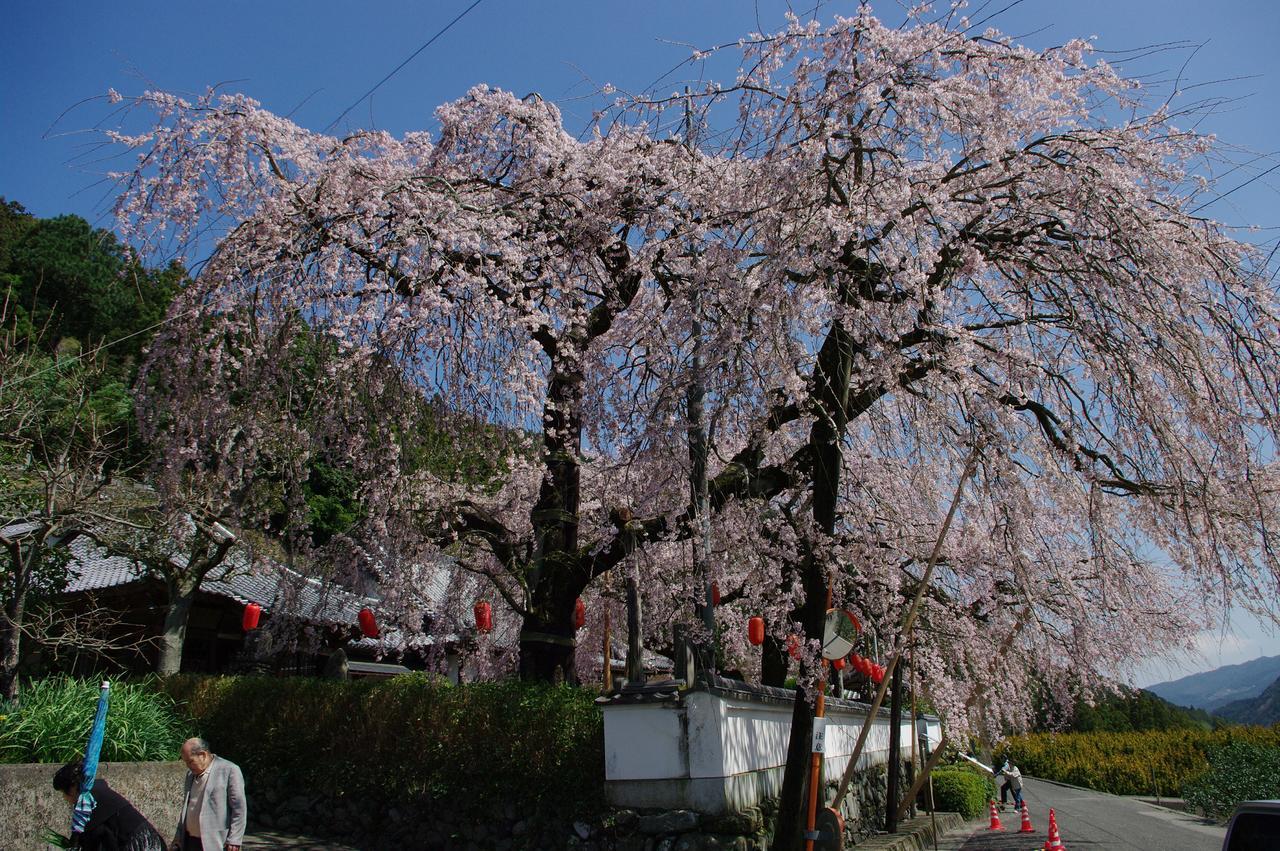 Kamiyama Onsen Hotel Shikinosato & Iyashinoyu Tokushima Zewnętrze zdjęcie